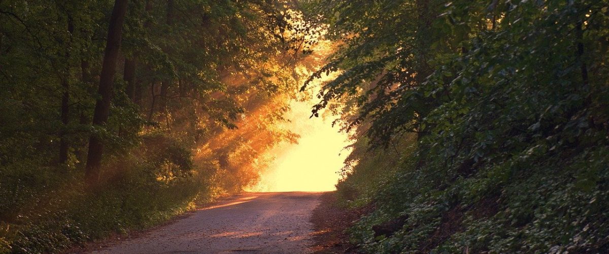 sunlight_covered_road